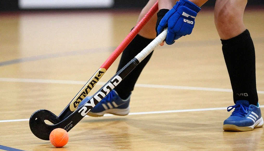 The Blockchain Ledger and Hockey's Blank Book: A Structural Audit of Data Integrity The Blockchain Ledger and Hockey's Blank Book: A Structural Audit of Data Integrity