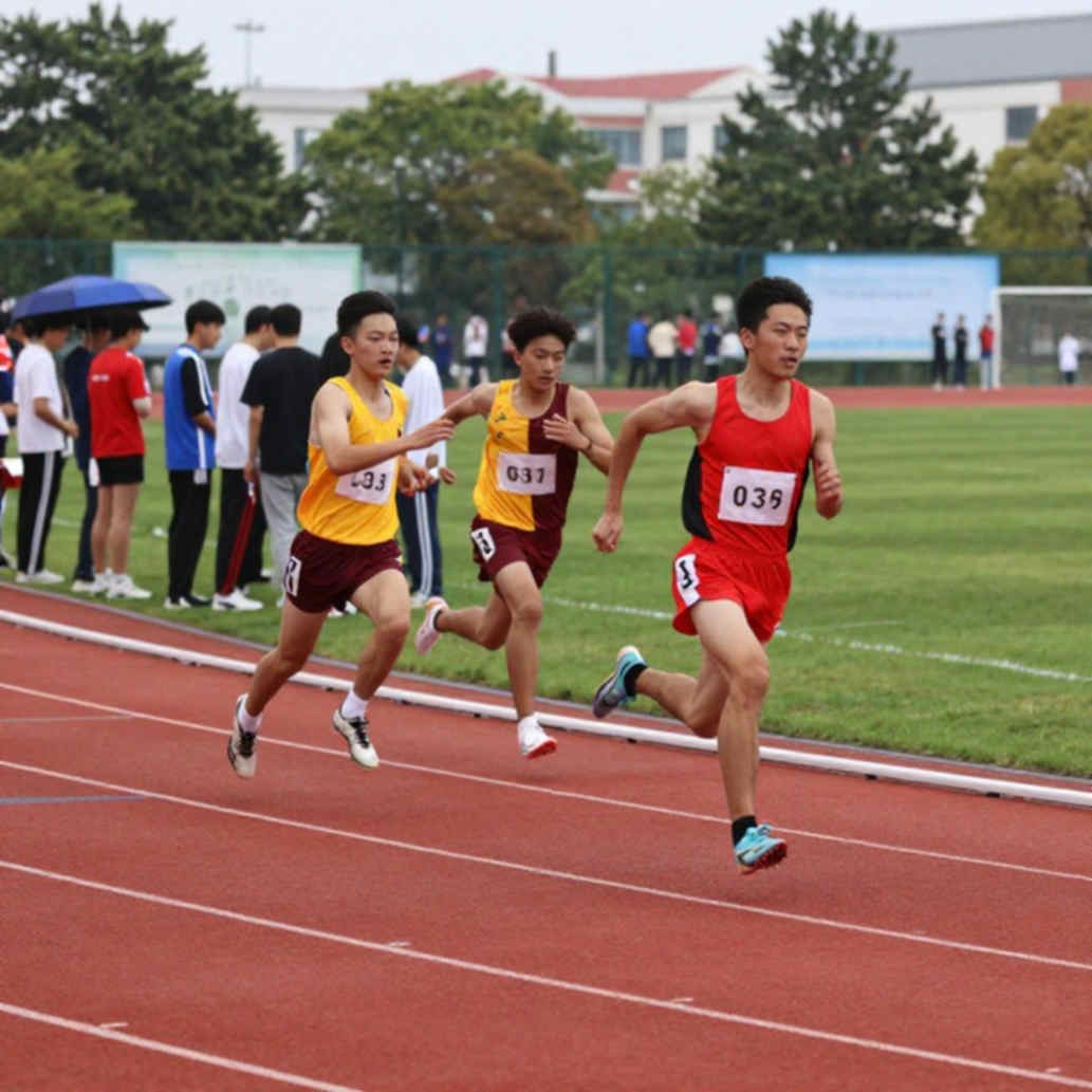 548 Points of One-Sided Rule: The Real Signal Behind Sri Lanka's Ranking-Recognized Corporate Athletics