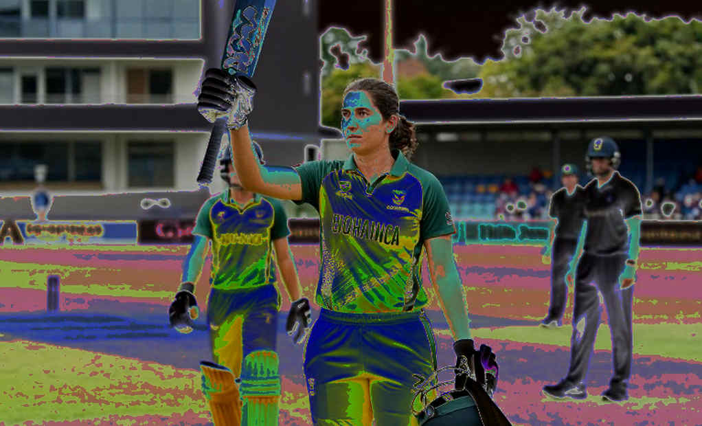 The Token Gallery: Blockchain's Promise and the Fan's Ledger in Asian Cricket The Token Gallery: Blockchain's Promise and the Fan's Ledger in Asian Cricket